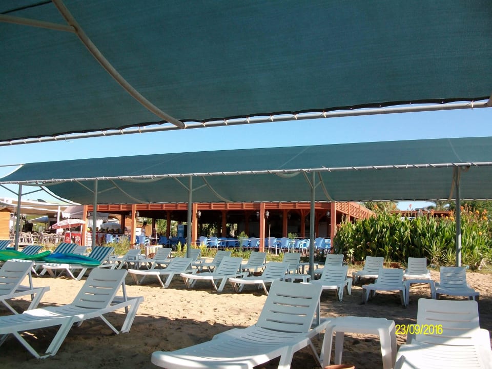 Beach Palm World Side Resort & Spa