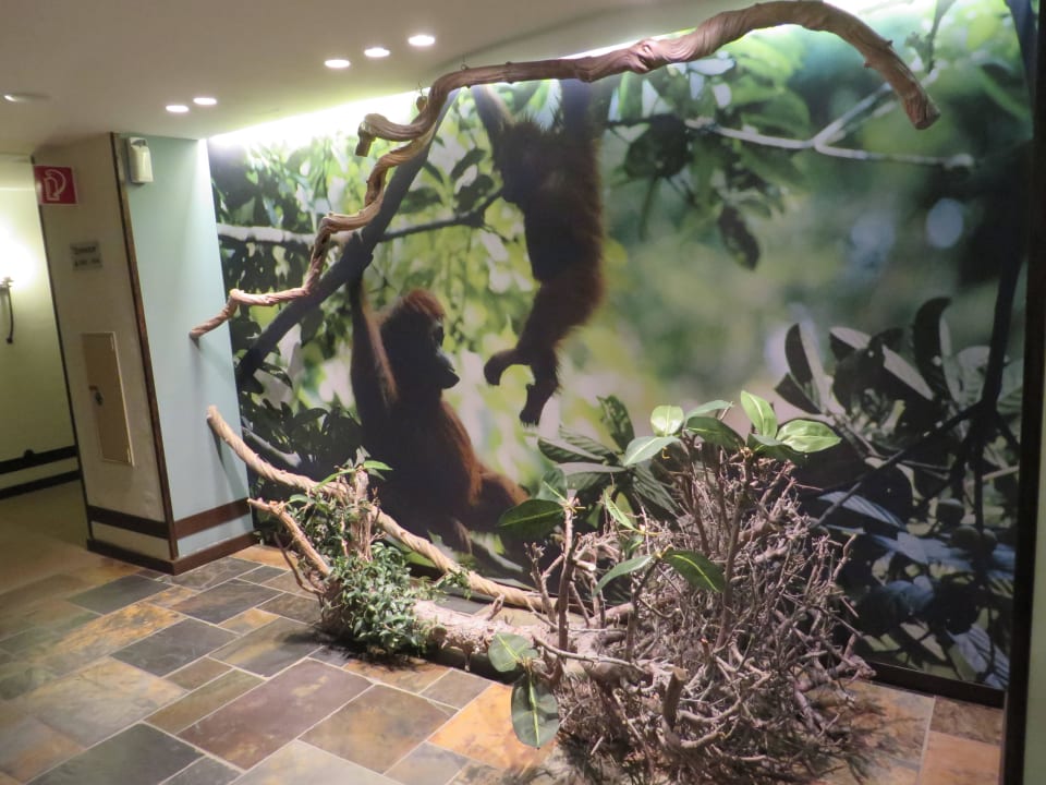 Flur auf der Etage Park-Hotel Hagenbeck