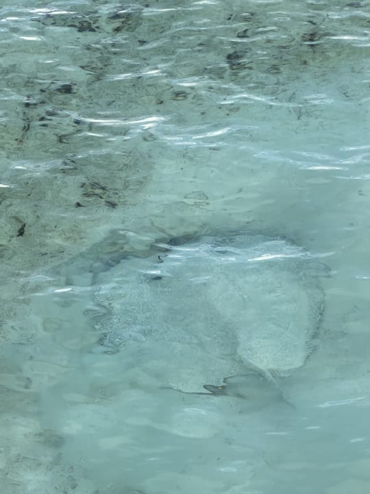 Strand Hotel Riu Atoll