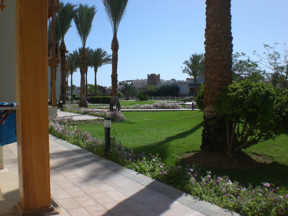 Super Pickalbatros Dana Beach Resort - Hurghada