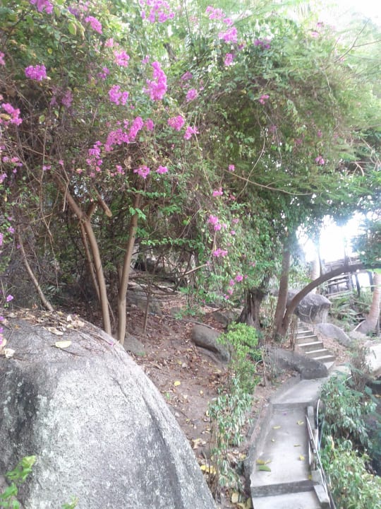Wege zu den Bungalows Hotel Nangyuan Island Dive Resort