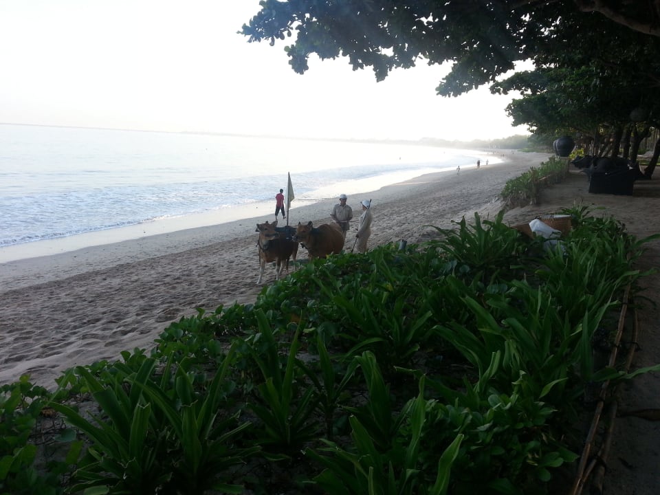 Strandreinigung InterContinental Bali Resort