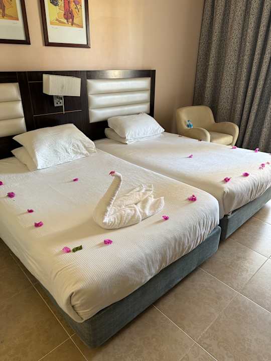 Zimmer Pickalbatros Palace Resort