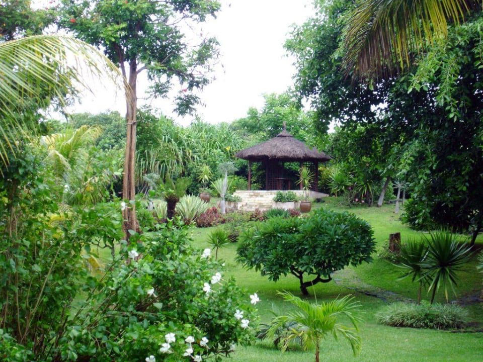 Tropischer Garten Shangri-La Le Touessrok Mauritius