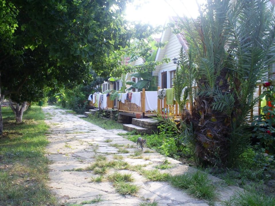 Im Grünen Clover Magic Nova Beach