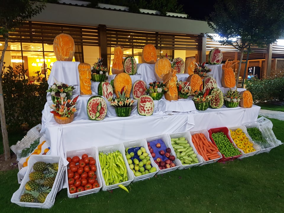 Gastro Adalya Elite Lara