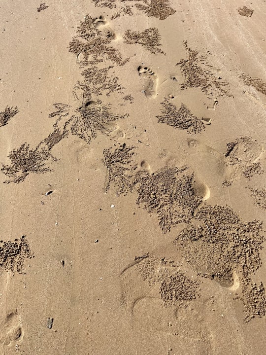 Strand Pickalbatros White Beach Resort - Hurghada