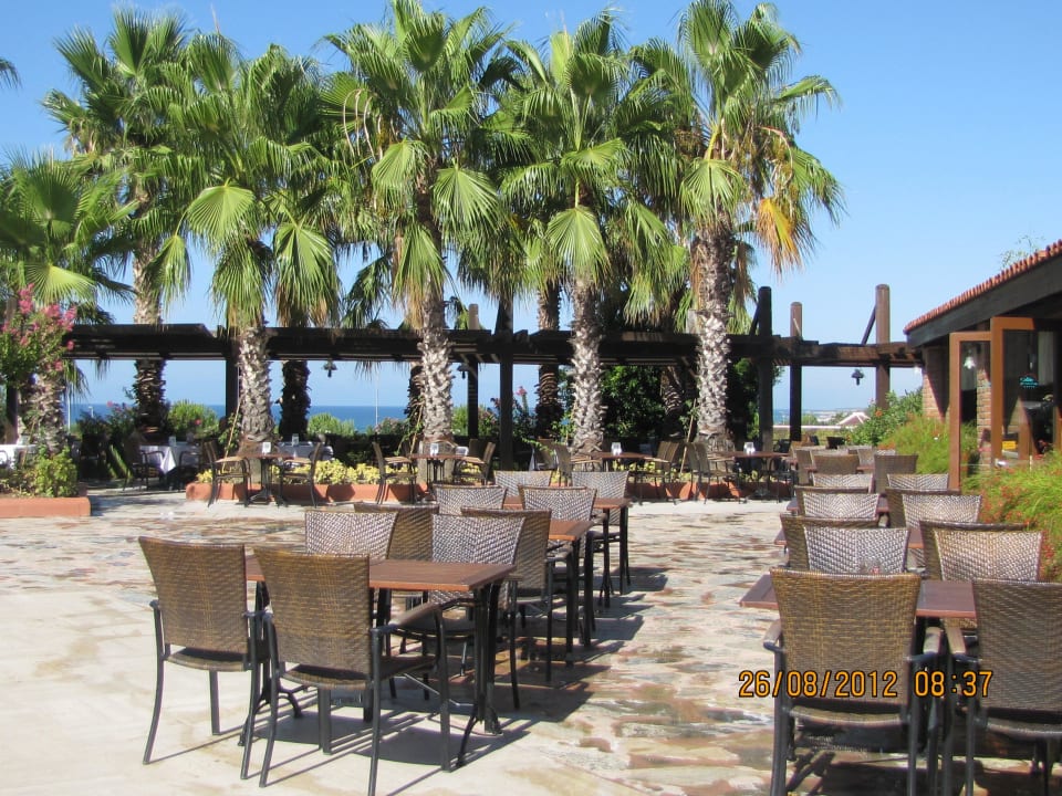 Poolbar Alba Resort Hotel
