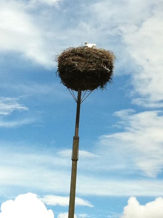 Einfahrt zum Hotel Hotel Schloss Herrenstein