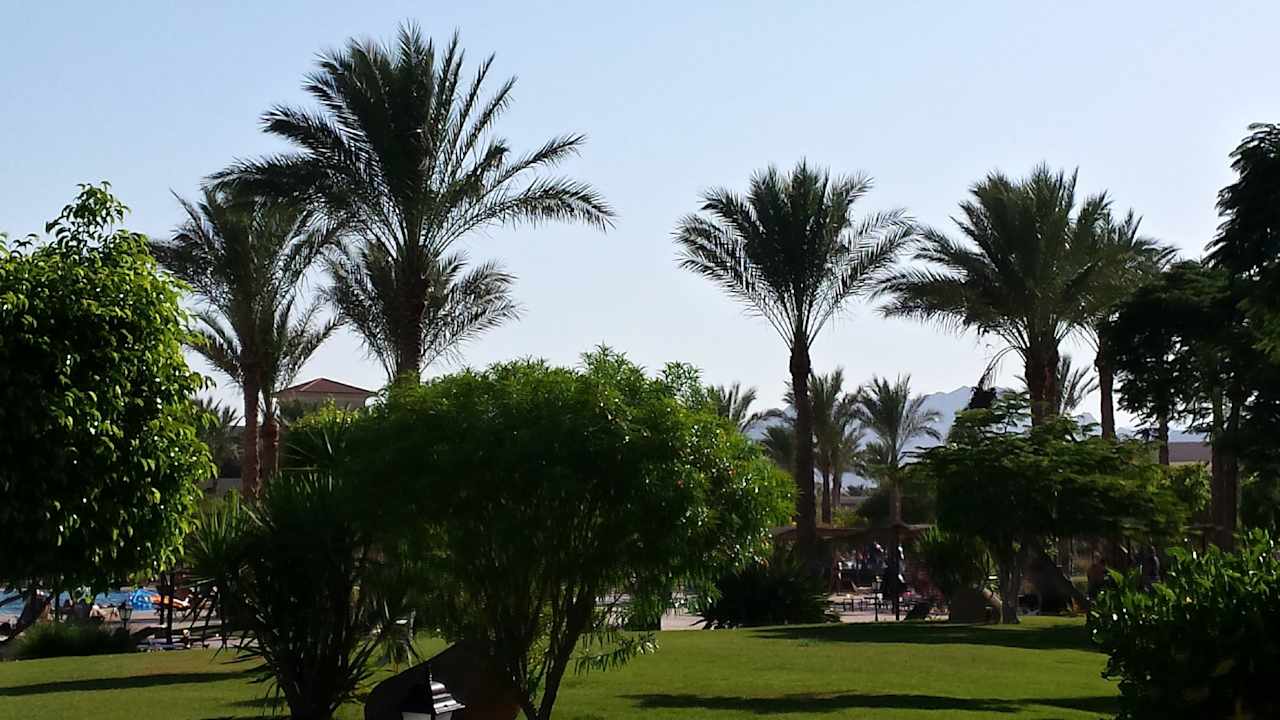 Hotel Jaz Mirabel Beach JAZ Mirabel Beach