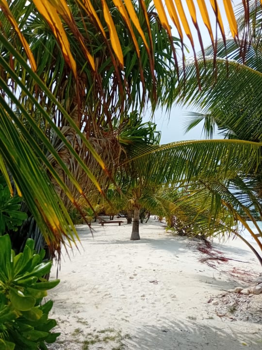 Gartenanlage Adaaran Select Meedhupparu Island Resort - Premium All Inclusive