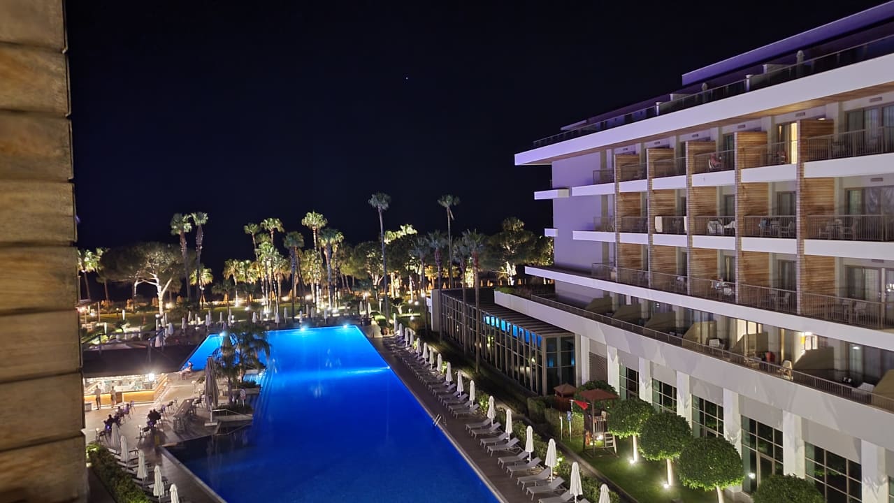 Pool Acanthus Cennet Barut Collection