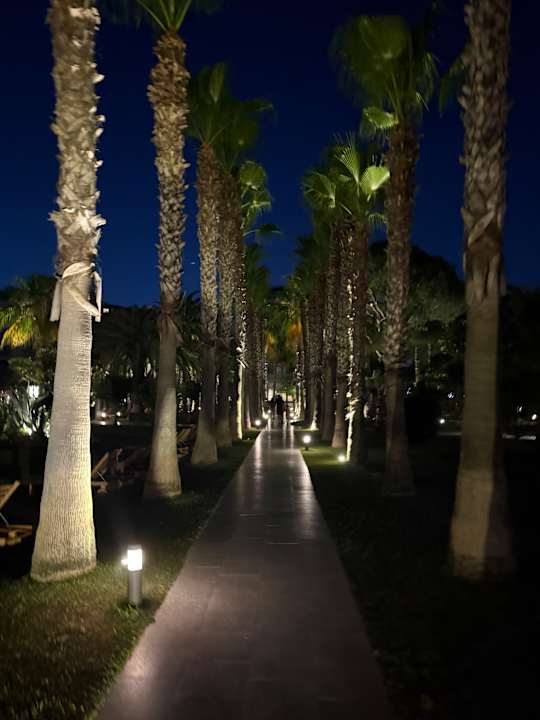 Gartenanlage Hotel Miramare Beach