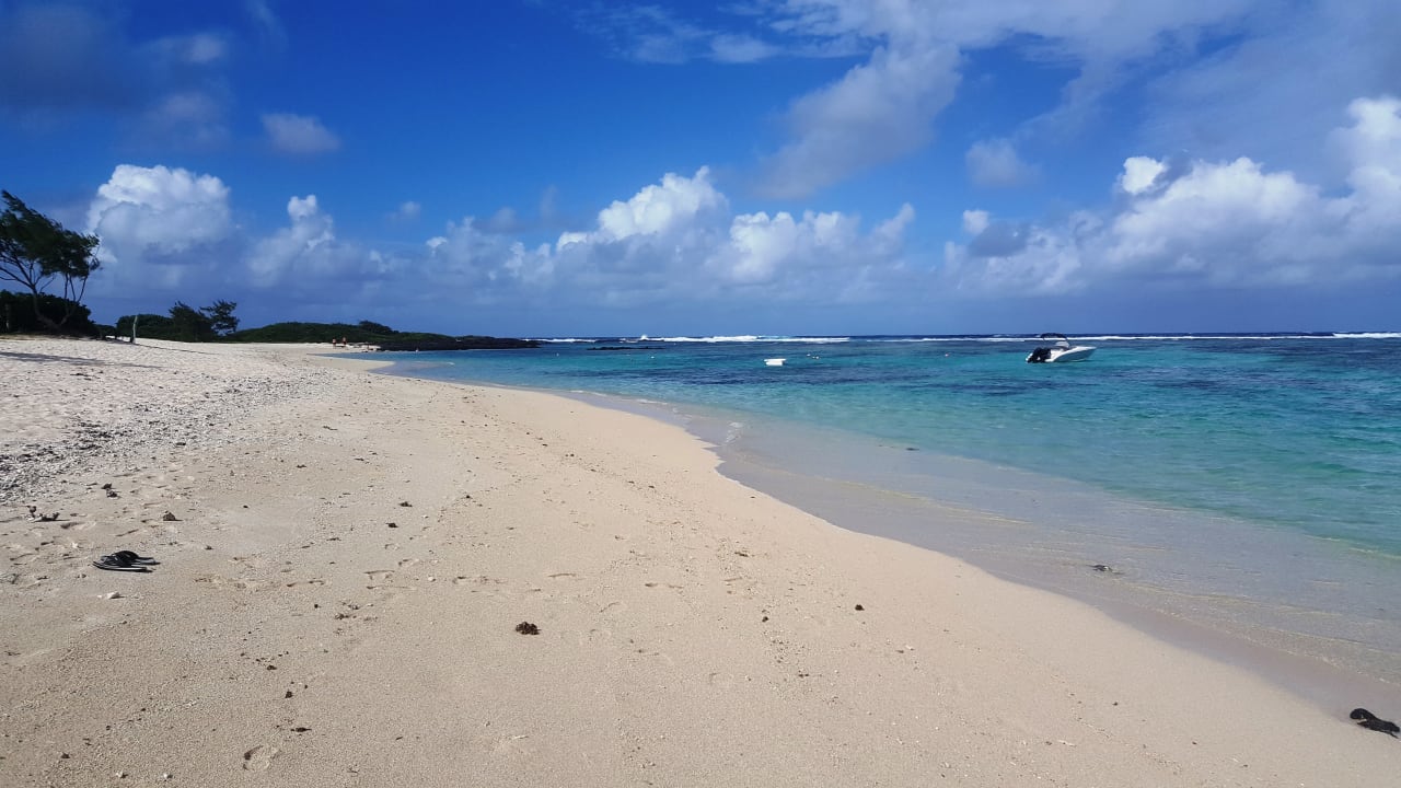 Strand Friday Attitude