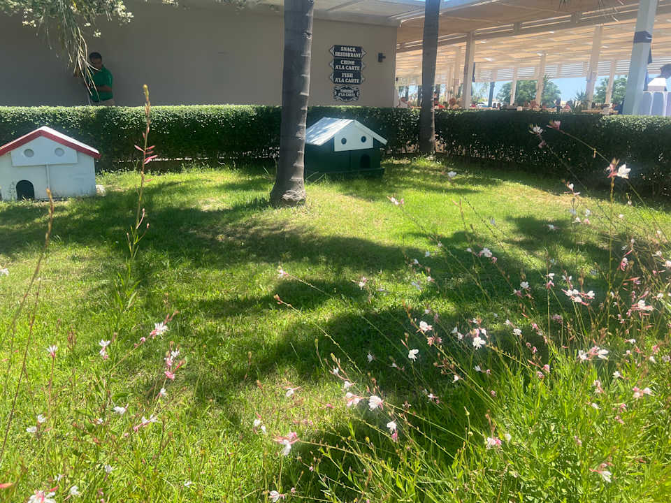 Außenansicht Sunis Elita Beach Resort & Spa