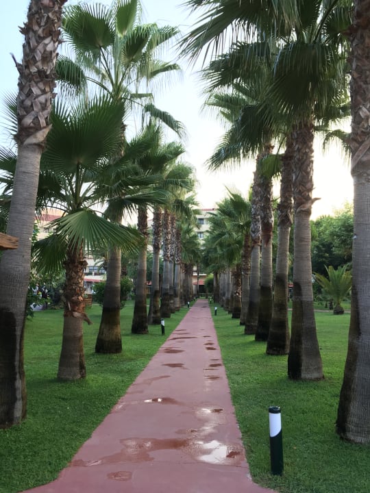 Gartenanlage Hotel Miramare Beach