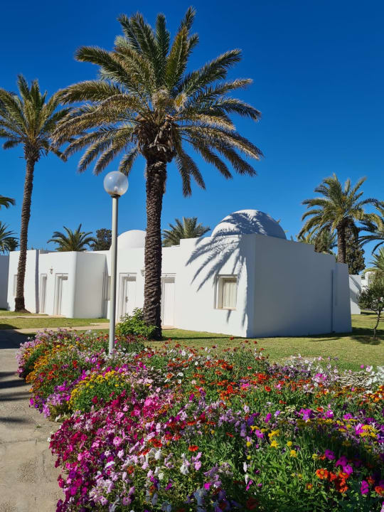 Gartenanlage One Resort Aqua Park & Spa