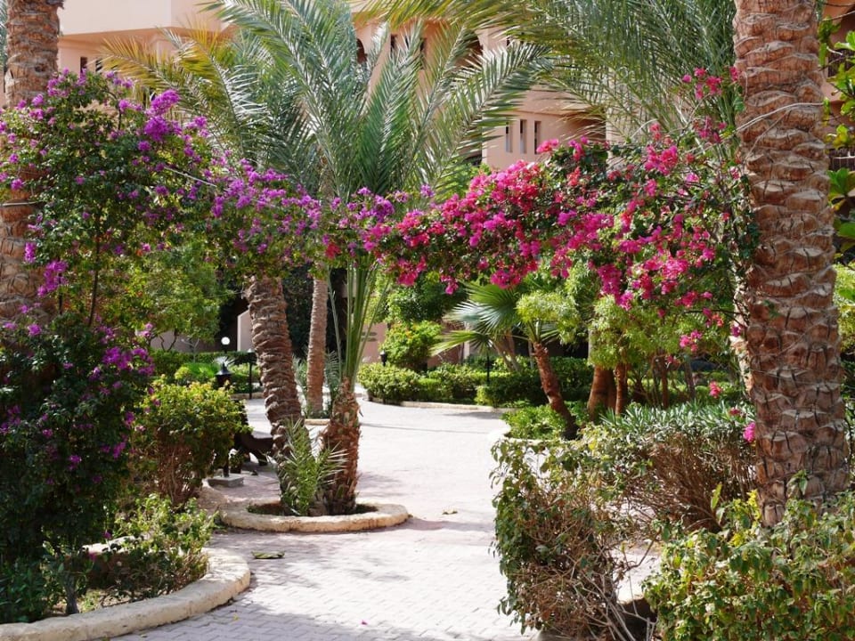 Gartenansicht Giftun Azur Resort