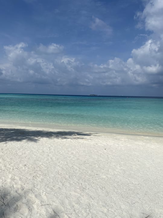 Strand Summer Island Maldives
