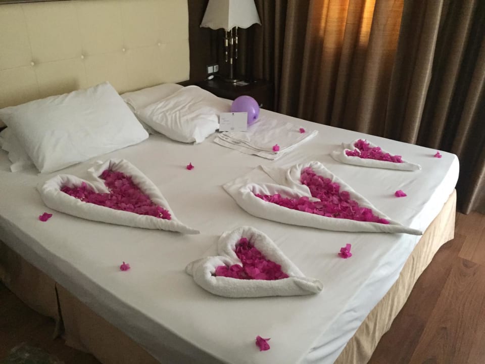 Zimmer Latanya Park Resort