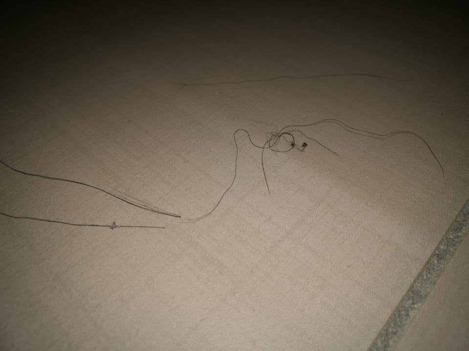 Zimmer Elbstrand Resort