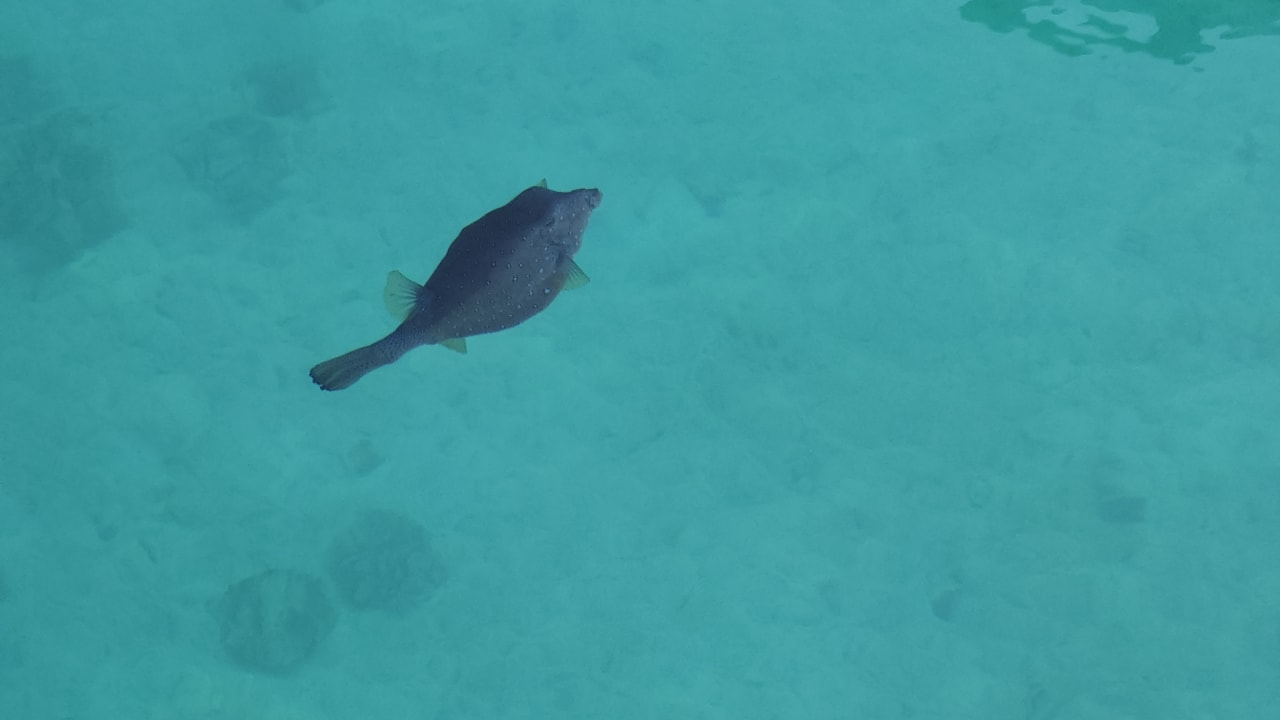 Strand The Grand Palace - Adults only