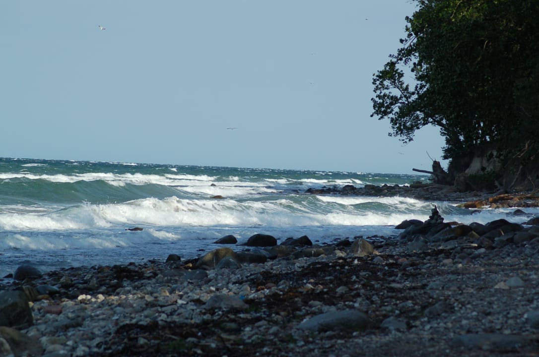 Strand Ferienbauernhof Liesenberg mit Meerblick