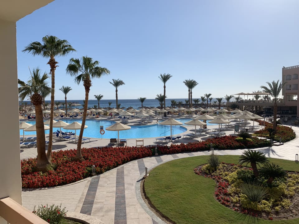 Pool Beach Albatros Resort