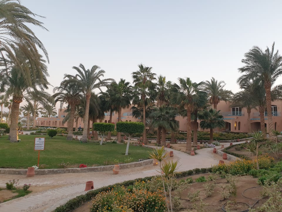 Gartenanlage Club Paradisio El Gouna, Red Sea