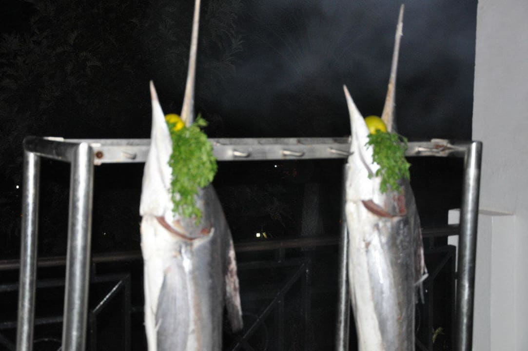 Ryby Iberostar Waves Founty Beach