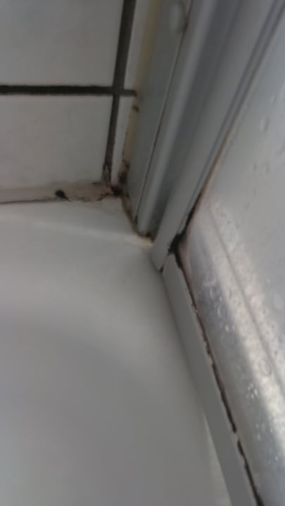 Zimmer Gasthof & Pension Palmenhof