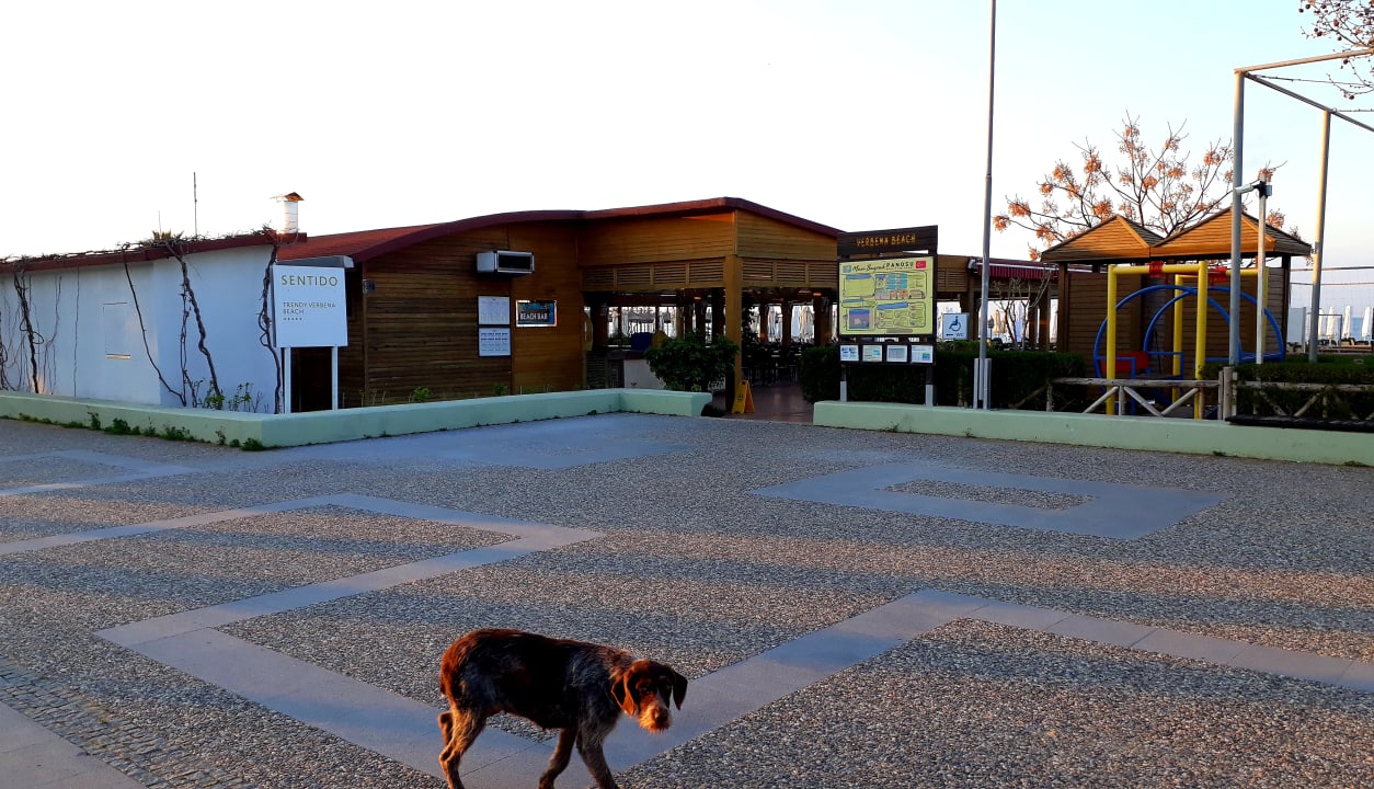 Gastro Sentido Trendy Verbena Beach