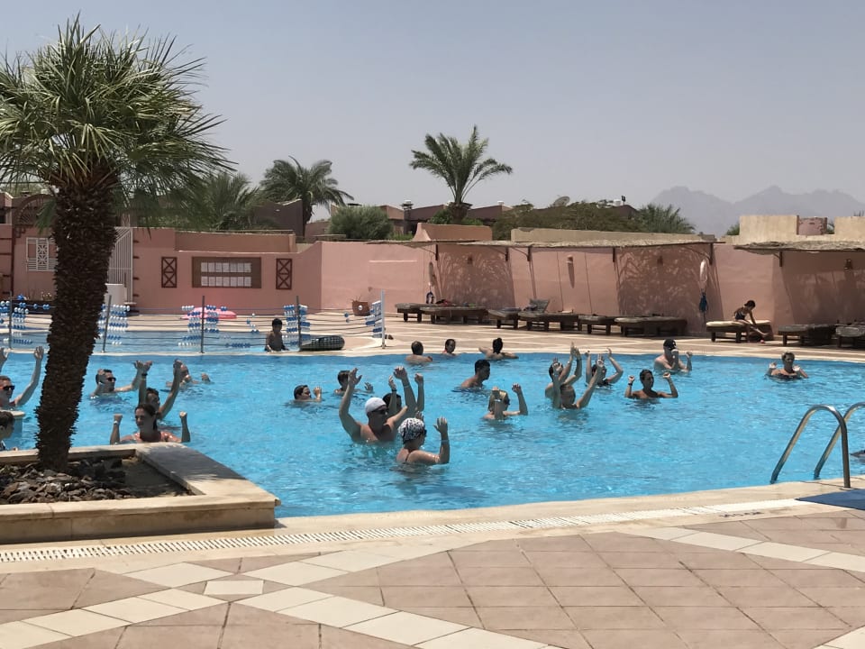 Pool Eagles Paradise Abu Soma