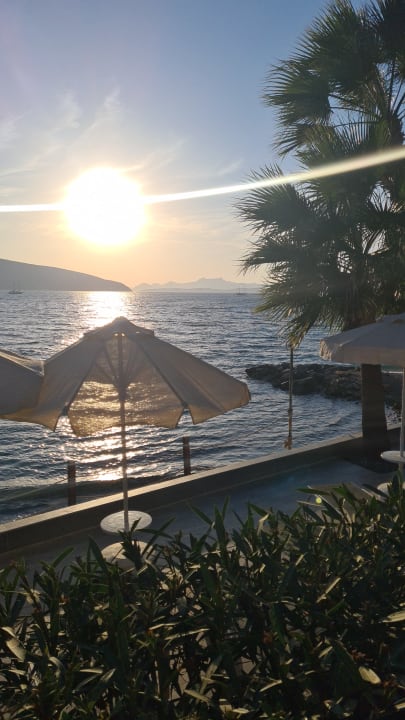 Strand TUI MAGIC LIFE Bodrum - Adult Only (16+)