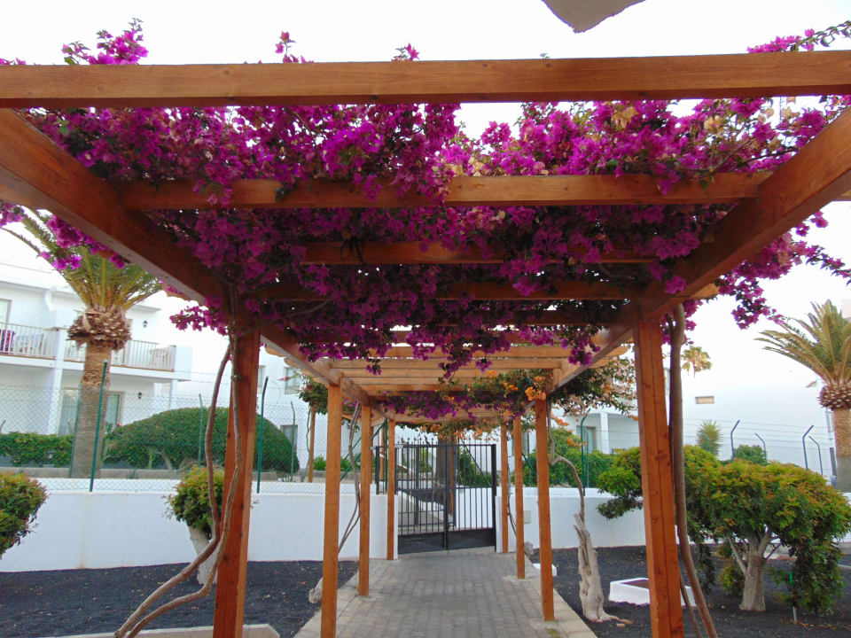 Gartenanlage Hotel Floresta