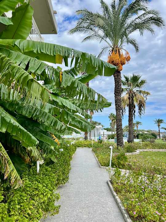Gartenanlage Rodos Palladium Leisure & Wellness