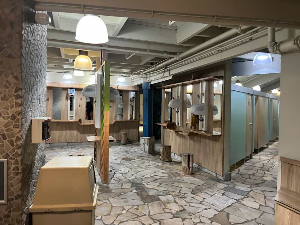 Pool Center Parcs De Kempervennen