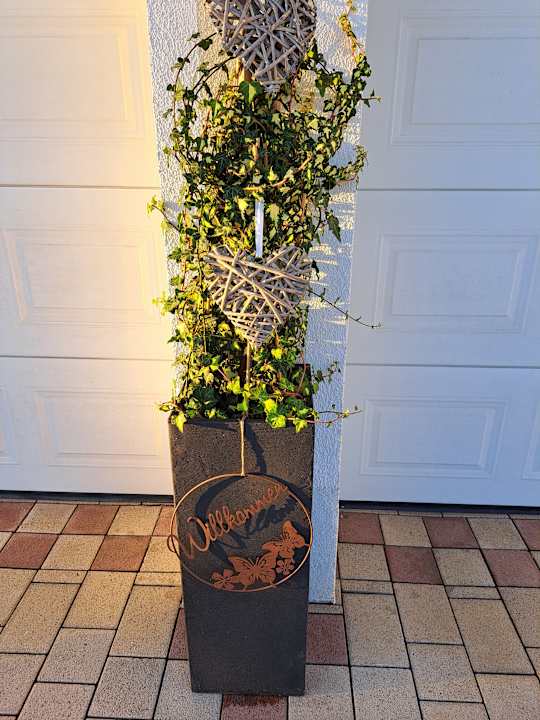 Sonstiges Apartment - Zimmer Schober