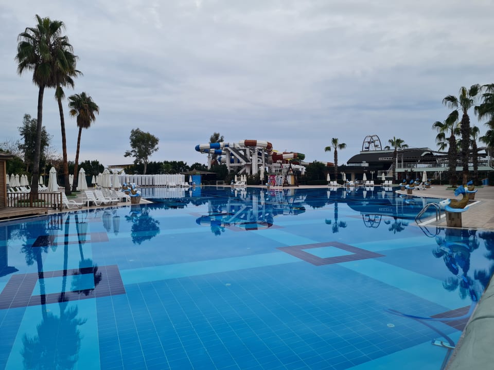 Pool Hotel Delphin Imperial