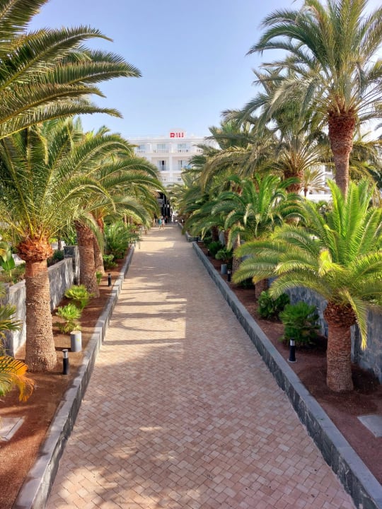 Gartenanlage Hotel Riu Palace Maspalomas Adults Only