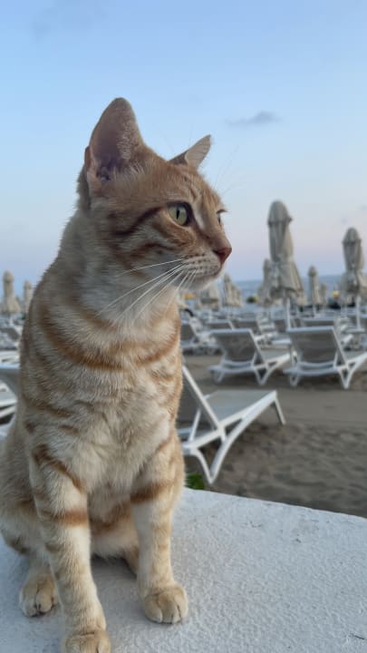 Strand Seaden Quality Resort & Spa