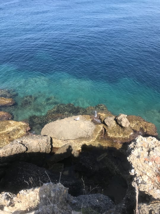 200 m entfernt Arycanda Kirman Premium