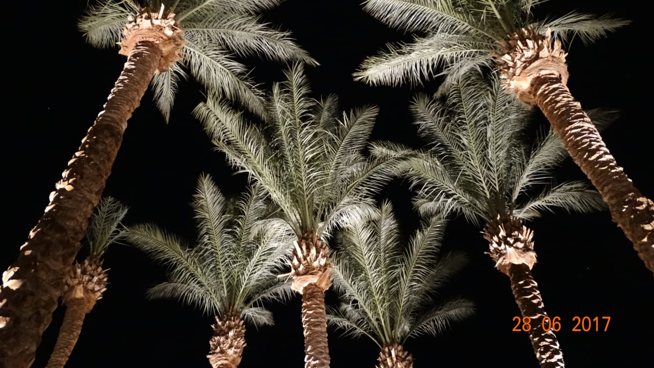 Gartenanlage Makadi Palace