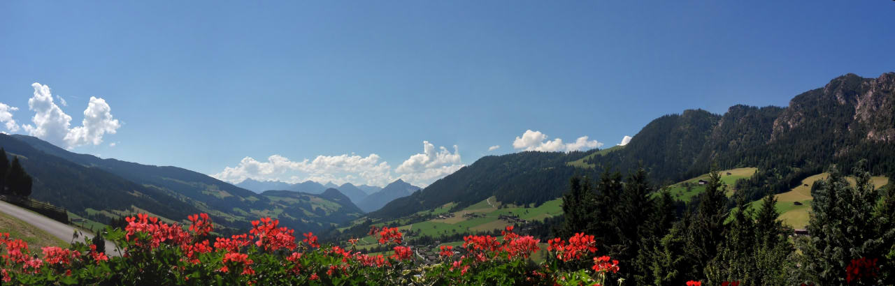 Ausblick Bergwald-Appartements -Alpbach