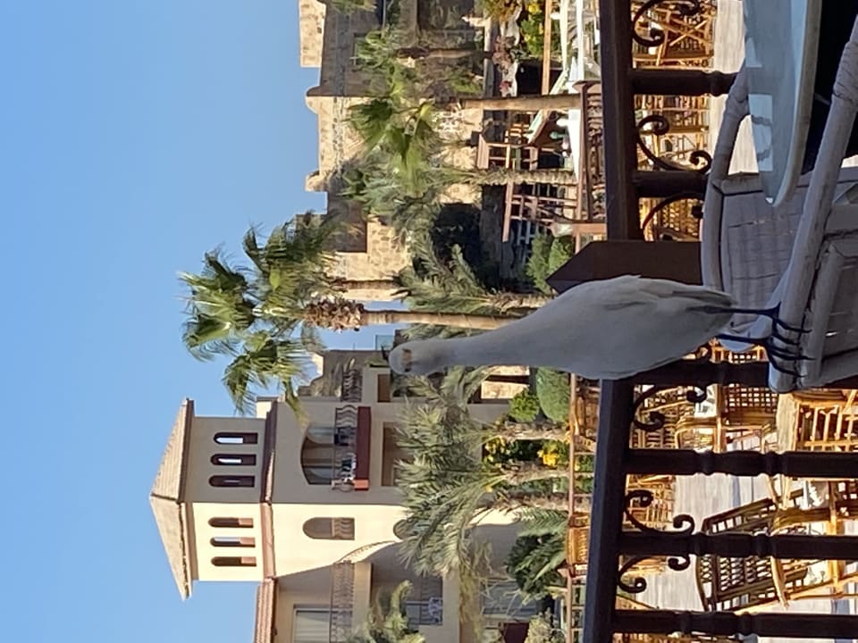 Gastro Pensée Royal Garden Beach Resort
