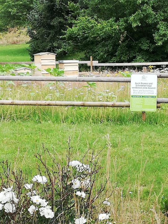 Gartenanlage Center Parcs Park Hochsauerland