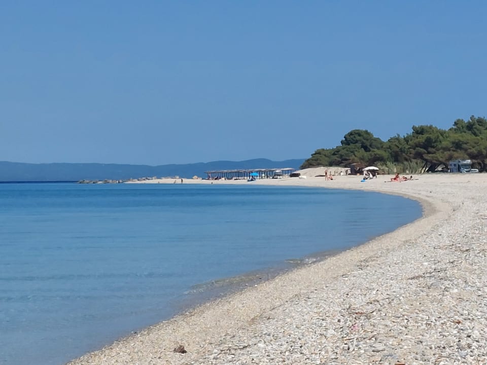 Strand Alia Palace