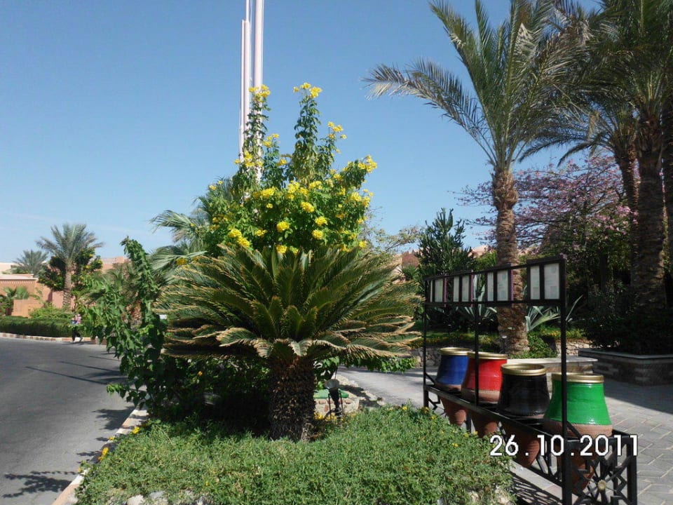 Vorm Hotel Jaz Makadi Oasis Resort