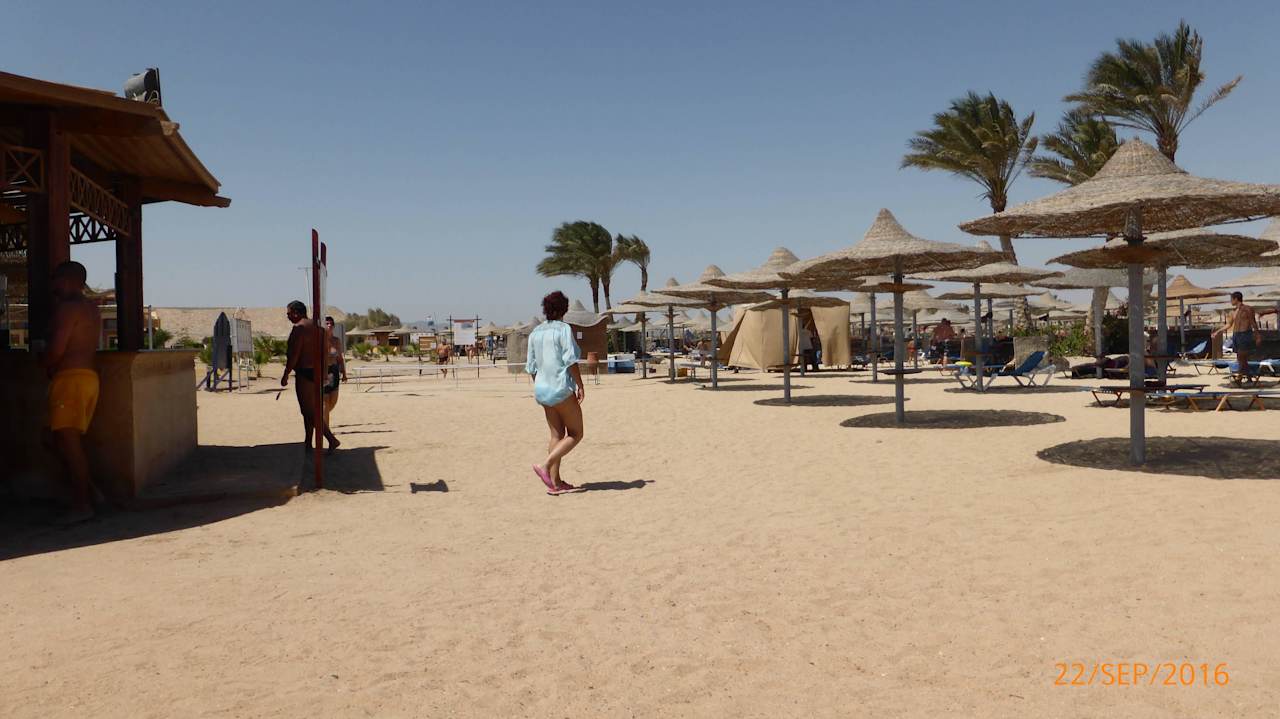 Blick von Strandbar in Richtung Strand Malikia Resort Abu Dabbab