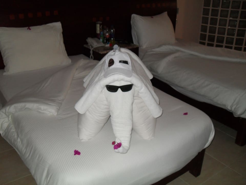 Wilde Tiere im Zimmer Shams Prestige Abu Soma-Adults Only